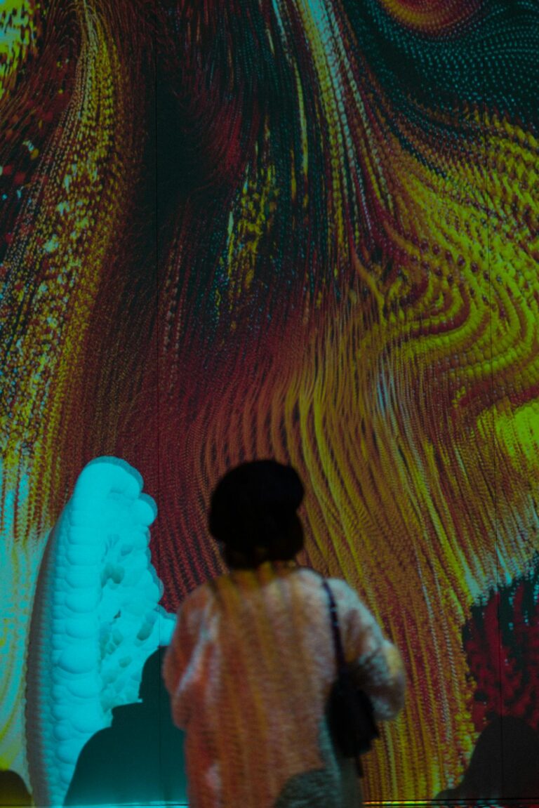 Silhouette of a person viewing a vibrant abstract light display in a gallery setting.